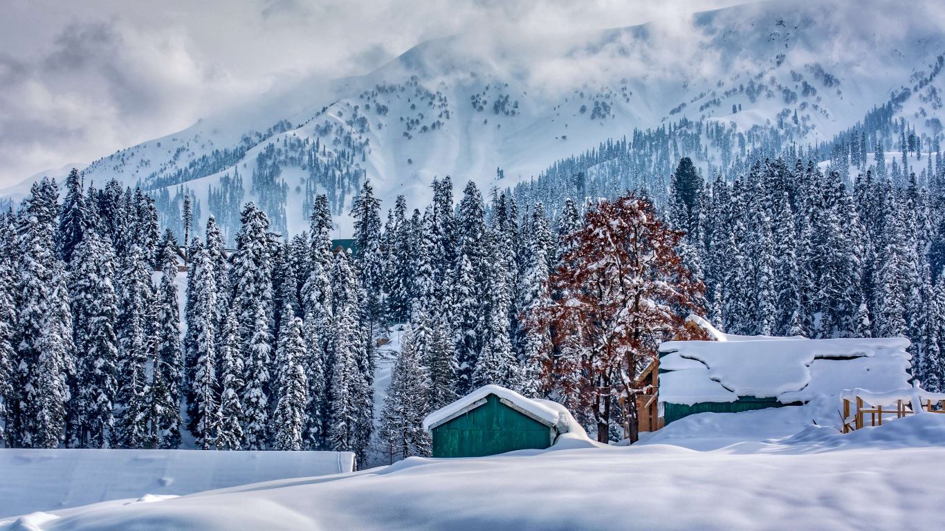 Kashmir 1