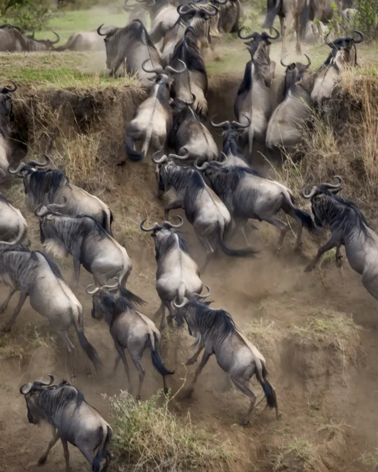 Tanzania