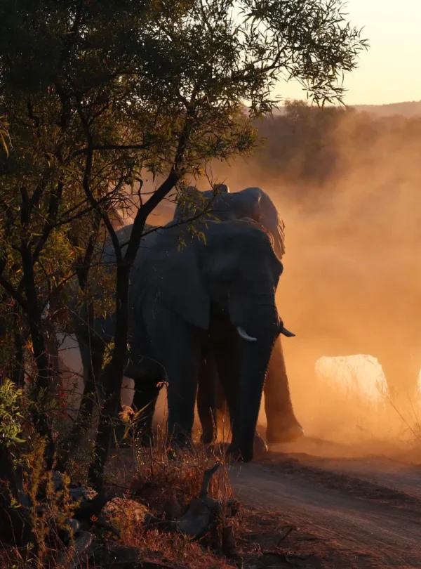 Botswana
